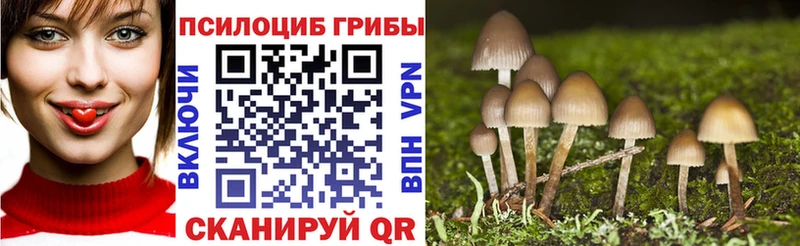 Галлюциногенные грибы Cubensis  Горячеводский 